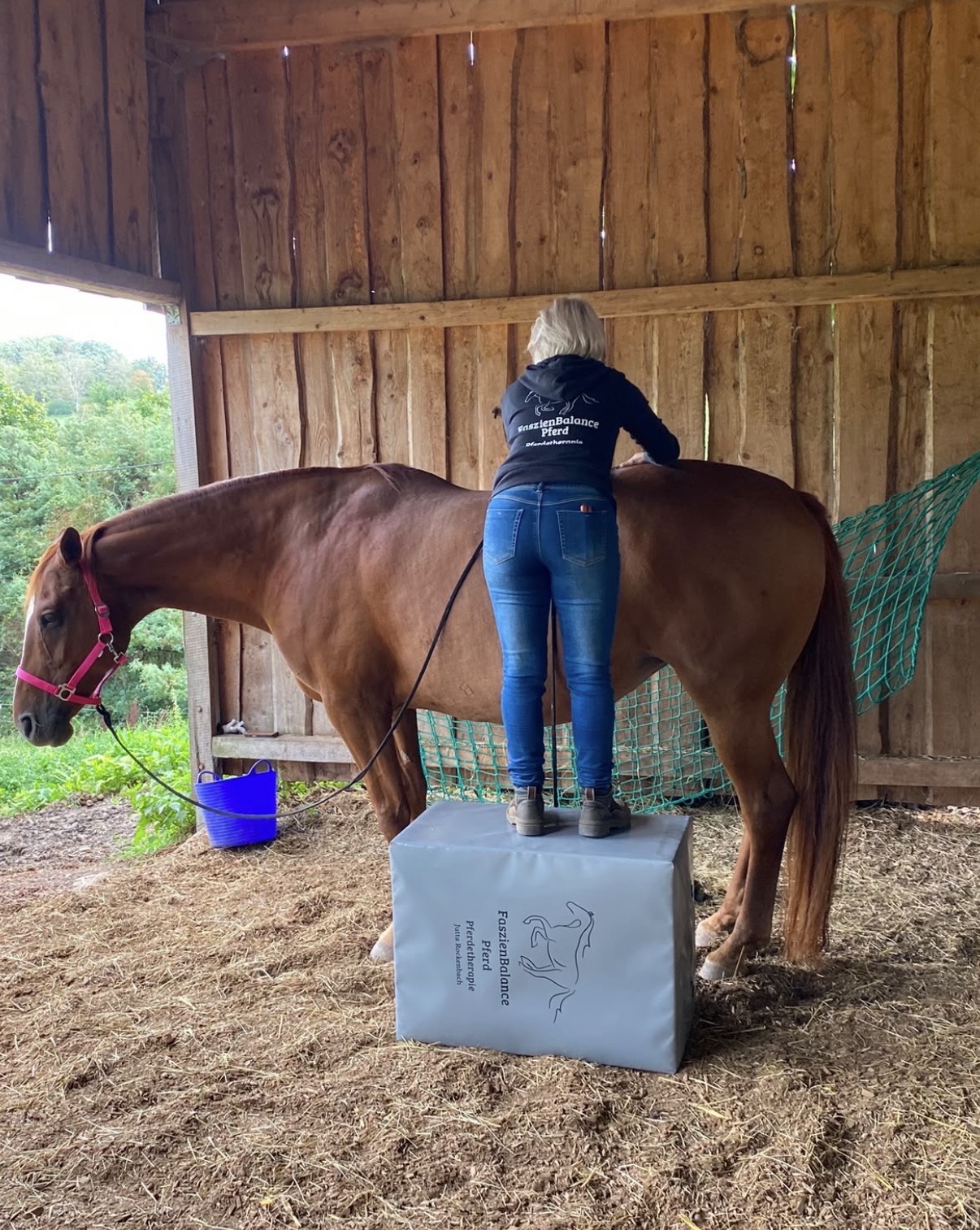 FaszienBalance Pferd - Jutta Rockenbach – Foto 1